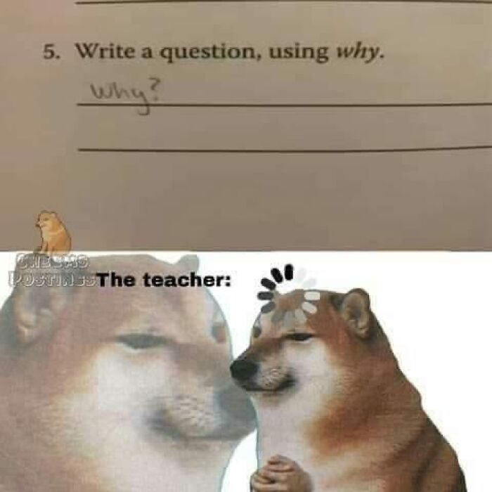 A meme from No Context Humans showing a test question answered 'Why?' with a dog reaction, shared on X, entertaining 6.6M people.