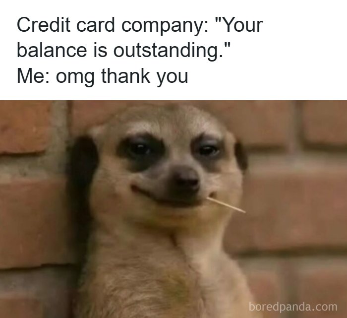 A funny meme featuring a meerkat smiling subtly with a toothpick. The text is about misunderstanding a credit card statement.