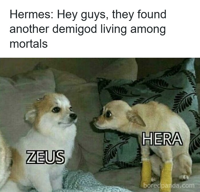 A mythology meme with two dogs labeled Zeus and Hera reacting to news about a demigod.