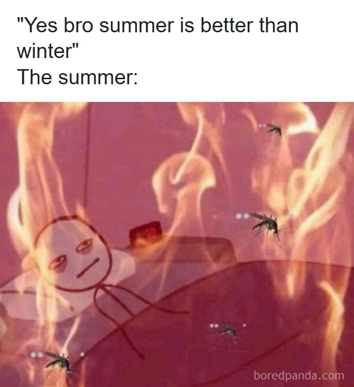 Hilarious meme showing a stick figure sweating in flames with mosquitoes, a relatable summer experience.