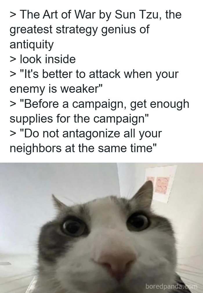 A close-up of a cat looking surprised, accompanying text about Sun Tzu's Art of War; a history meme.