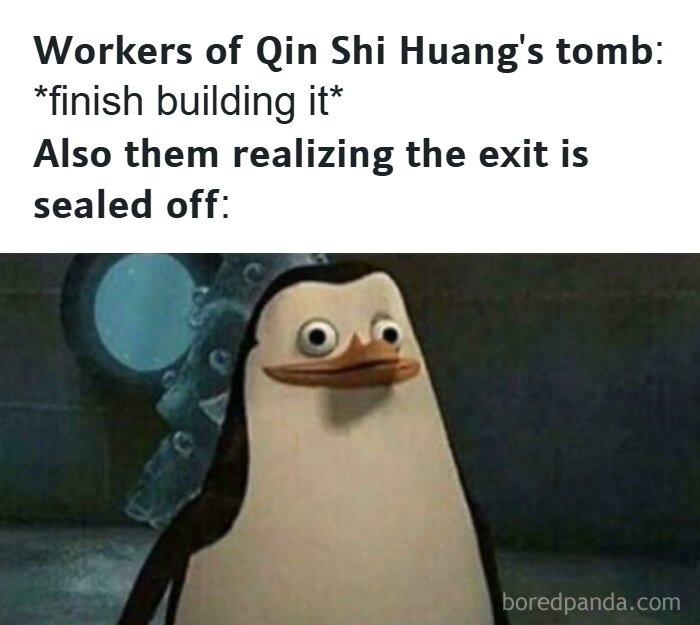 A penguin looking shocked, representing a history meme about Qin Shi Huang's tomb and workers.