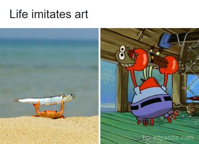 A split image shows a crab holding a fish on a beach next to Mr. Krabs from Spongebob, illustrating funny pop culture.