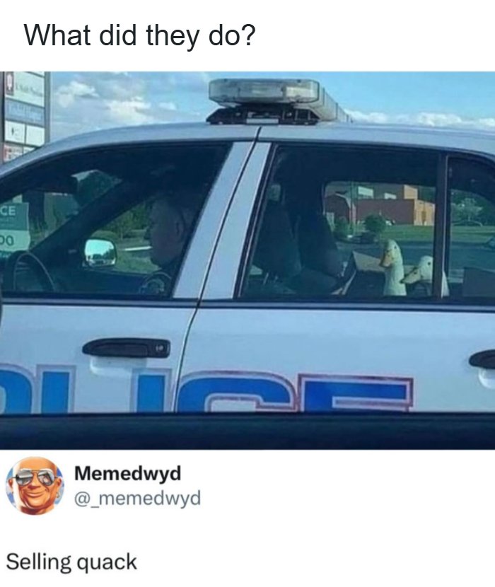 A funny pop culture post showing two ducks in the back of a police car with the caption, Selling quack.