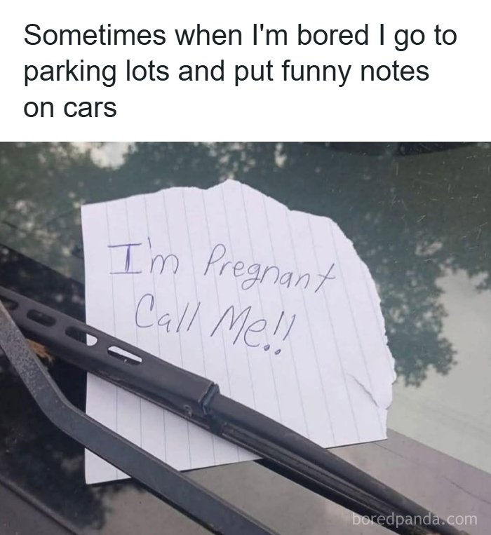 A ridiculous post showing a note saying I'm Pregnant Call Me!! on a car, reflecting cultural decline into idiocy.