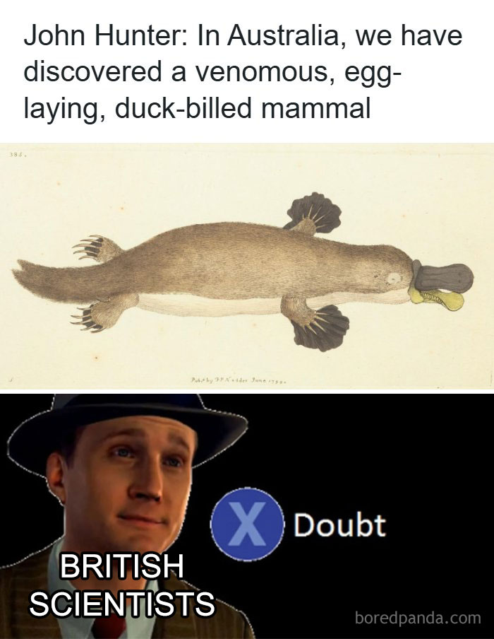 A history meme about a platypus, with British scientists doubting its existence, highlighting historical humor.