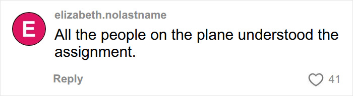 A comment suggesting everyone on the plane understood the situation involving the bride-to-be's missing wallet mid-flight. A comment suggesting everyone on the plane understood the situation involving the bride-to-be's missing wallet mid-flight.