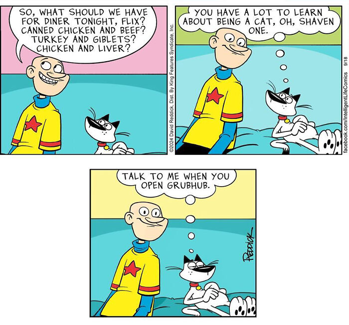 A comic by David Reddick shows a man asking his cat about dinner options, representing daily life in today's world.