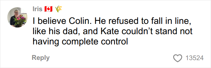 A comment from Iris, showing support for Collin Gosselin in his public battle.