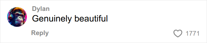 A comment with a monkey wearing headphones profile picture calls the Empire State Building daredevils 'Genuinely beautiful'.