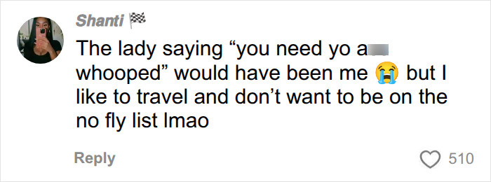 A comment from a user, Shanti, saying she would have confronted the woman mid-flight about the missing wallet. A comment from a user, Shanti, saying she would have confronted the woman mid-flight about the missing wallet.