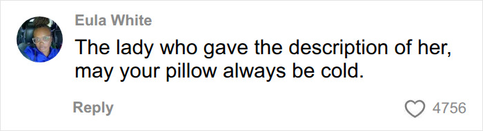 Screenshot of a comment from Eula White, praising the woman who gave the description of the wallet thief mid-flight. Screenshot of a comment from Eula White, praising the woman who gave the description of the wallet thief mid-flight.