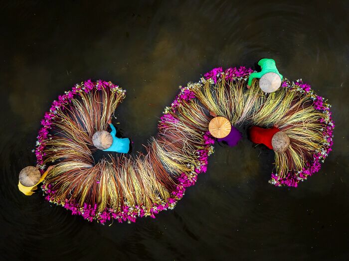 Remarkable color photos from the reFocus Contest: people in circular arrangements of colorful flowers.
