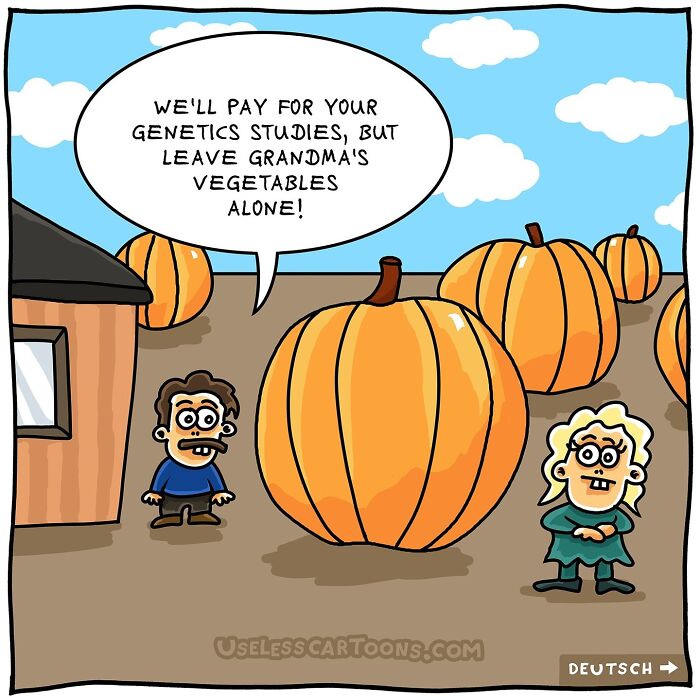 These Delightfully Absurd Comics Prove That Logic Is Completely Overrated (20 New Pics)