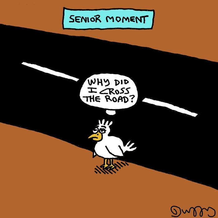 Absurd cartoons by J.C. Duffy: A bird on a road, thinking, Why did I cross the road? under 'SENIOR MOMENT'.
