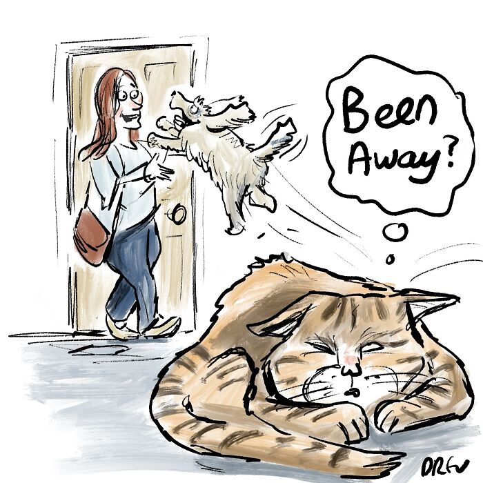 Clever single-panel comic showing a sleeping cat and an excited dog greeting its owner at the door.