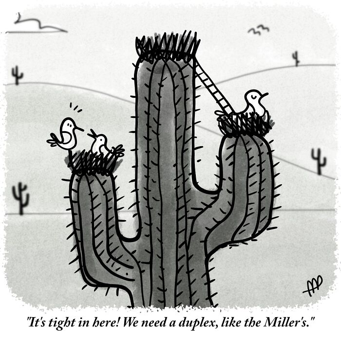 A witty single-panel comic features a large cactus with two birds in nests, one lamenting needing a duplex.