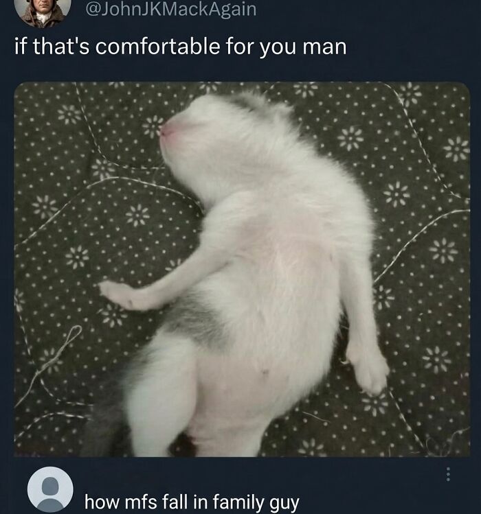 A soft cat meme of a tiny kitten sleeping in an unusual, relaxed pose on a patterned blanket. Cute and hilarious feline fun.