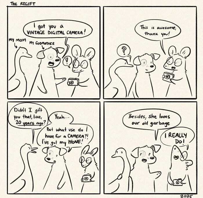 Funny and honest comic about life's little moments: A goose regifts a vintage digital camera from a godmother.