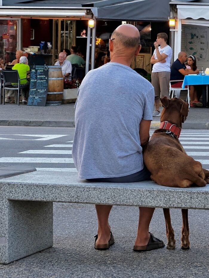 A photographer captures perfectly timed coincidences in Barcelona: a man and a dog sitting on a bench.