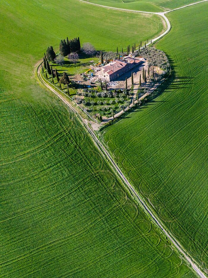An aerial color photo capturing the world: a heart-shaped cluster of trees and a house in a vibrant green field.