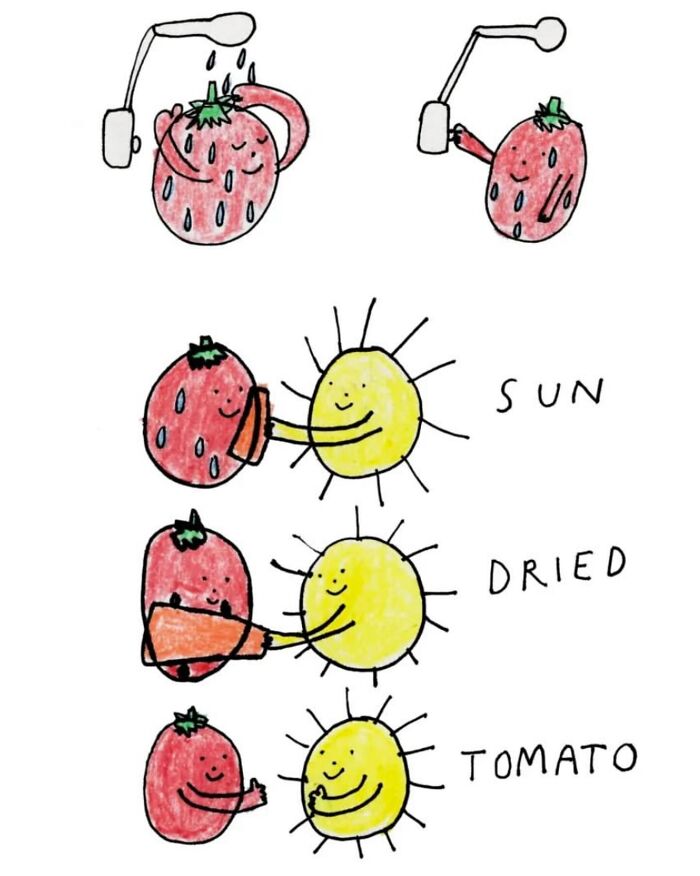 A light-hearted illustration depicting strawberries turning into sun-dried tomatoes with comical puns.