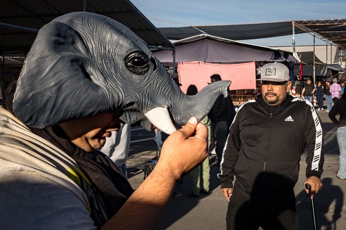 A photographer captures humor and chaos in everyday life: a man wearing an elephant mask.