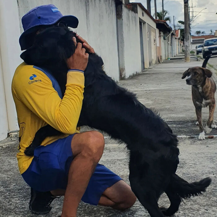 A kind mailman in uniform kneels to hug a black dog, showcasing his friendly encounters with dogs during deliveries.