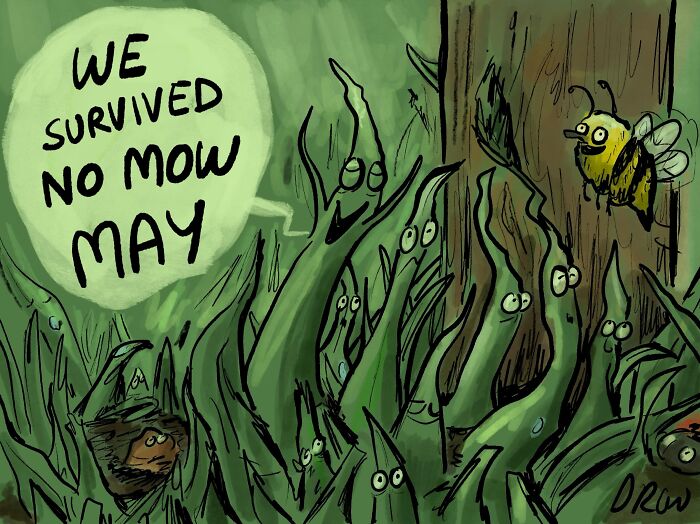 A cleverly drawn single-panel comic of blades of grass celebrating No Mow May survival with a bee nearby.