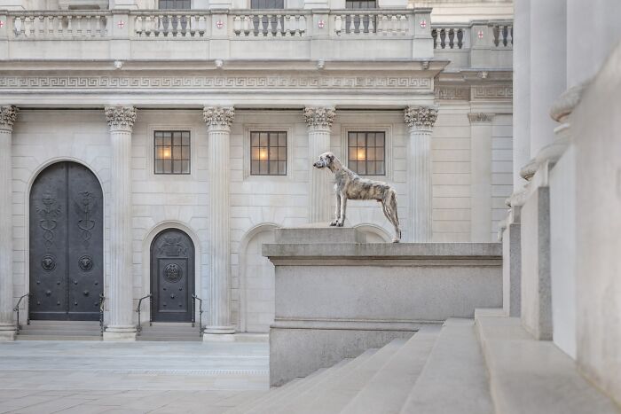 Domestic Animals Category, Gold: "Presence Without Permission" By Andrew Raven Richardson