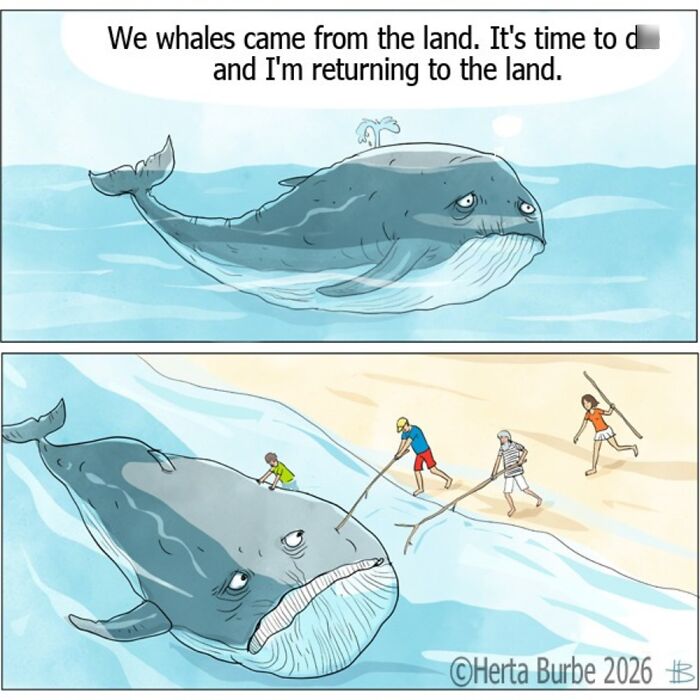 Herta Burbė comics and illustrations: a whale tries to return to land, needing help from people.