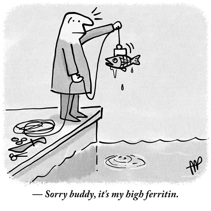 A witty single-panel comic features a man fishing with a magnet, humorously catching a metal fish, showcasing absurd directions.