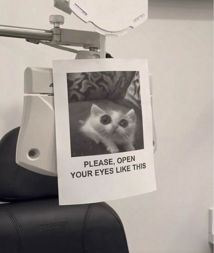 A cute cat meme: a picture of a wide-eyed kitten with the text PLEASE, OPEN YOUR EYES LIKE THIS at an optometrist.