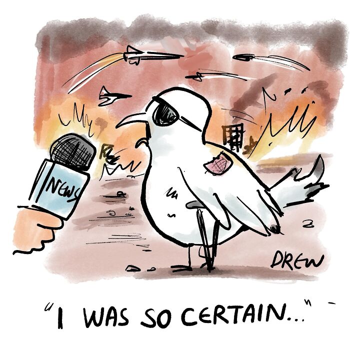 A cleverly drawn single-panel comic of a seagull reporter with a bandaged wing, reporting on a warzone, saying, I was so certain.