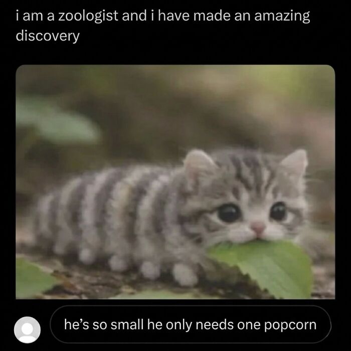A cute cat meme of a small, striped kitten resembling a caterpillar, holding a green leaf.