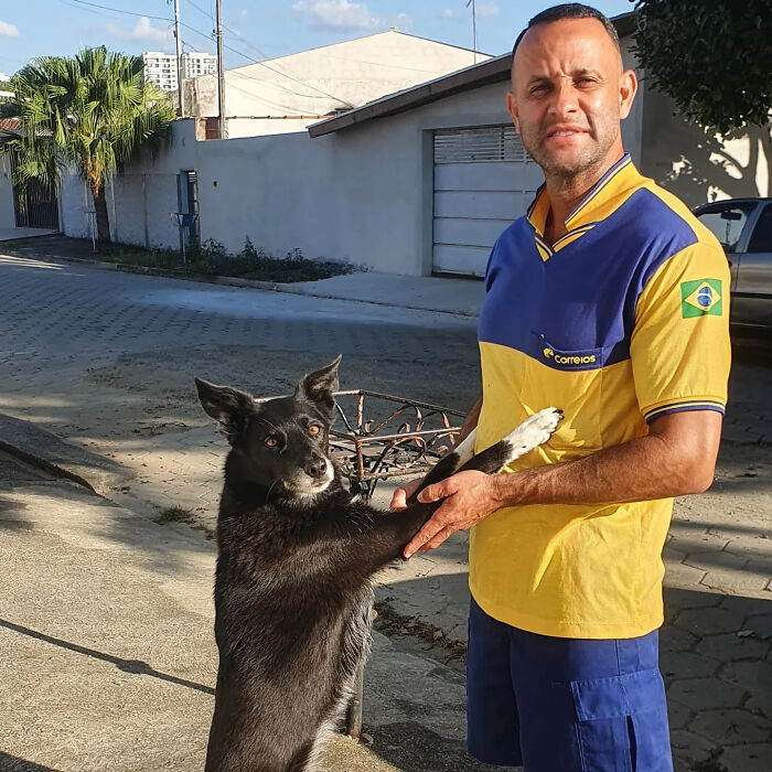 A mailman shaking paws with a black dog during his deliveries, exemplifying his kindness towards dogs.