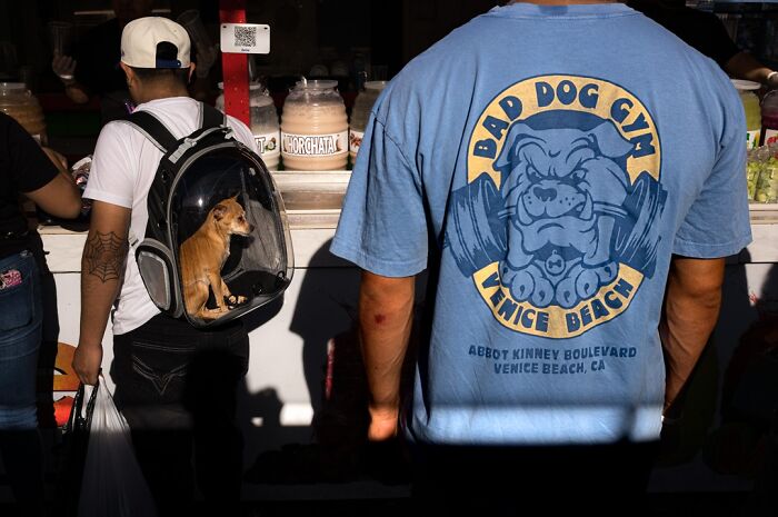 Photographer captures everyday life humor: a man with a chihuahua in a backpack, another in a Bad Dog Gym shirt.