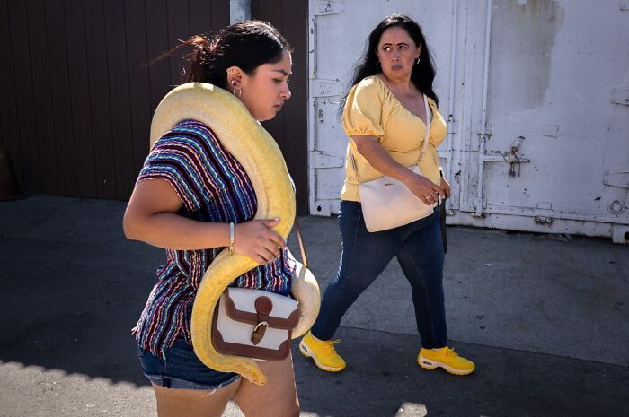 A photographer captures humor and chaos: a woman carrying a large snake on her shoulders walks alongside another woman.