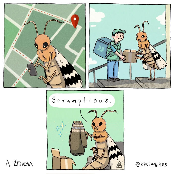 Funny comics illustrating a moth ordering a sweater online and eagerly receiving it from a delivery person.