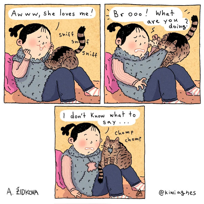 A girl sniffing her cat, then the cat attacking her arm and biting her leg. Funny comics.