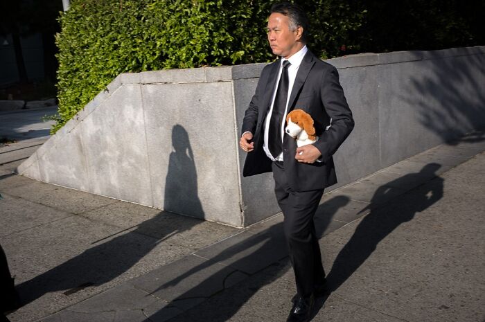 Photographer captures humor and chaos in everyday life, showing a man in a suit carrying a small stuffed dog.