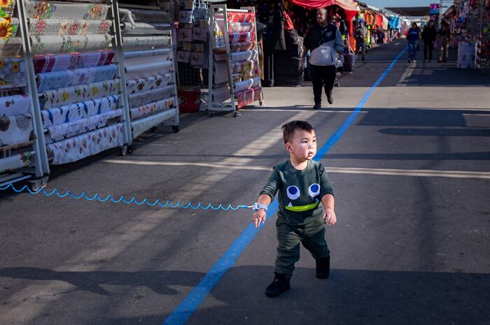 Photographer captures everyday life humor: a small child on a leash walking on a blue line in a busy market.