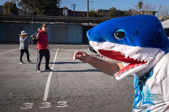 A photographer captures humor and chaos: a person in a shark costume stands in a parking lot.