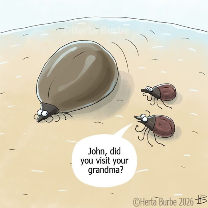 A comic illustration by Herta Burbė featuring three ticks, one comically engorged, with a speech bubble about visiting grandma.