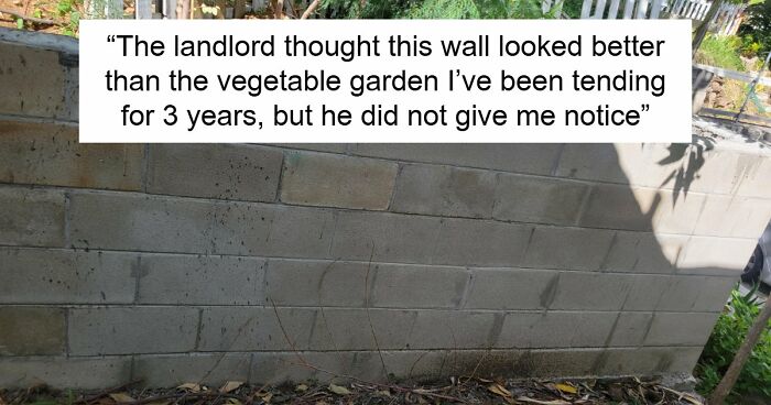 68 Horrible Landlords Who’ve Made Their Tenant’s Life Miserable