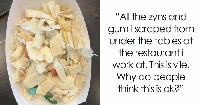 81 People Who Looked At Basic Human Decency And Decided It Wasn’t For Them