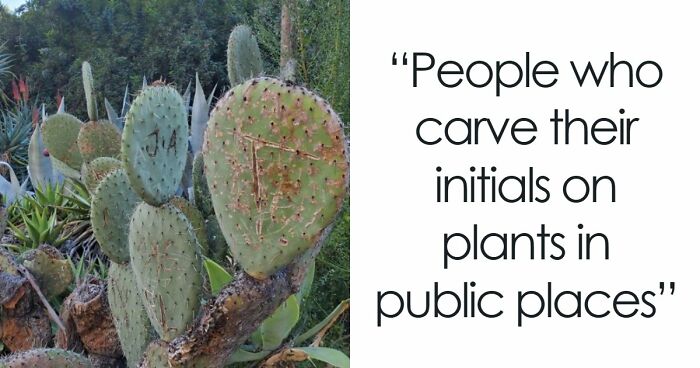 81 People Who Looked At Basic Human Decency And Decided It Wasn’t For Them