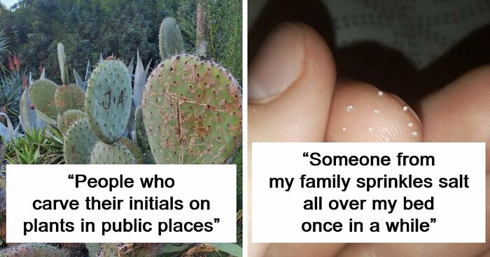 81 People Who Looked At Basic Human Decency And Decided It Wasn’t For Them