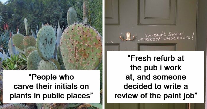 81 People Who Looked At Basic Human Decency And Decided It Wasn’t For Them