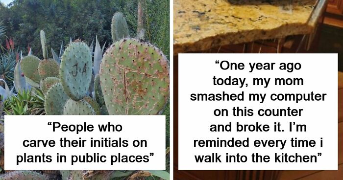 81 People Who Looked At Basic Human Decency And Decided It Wasn’t For Them